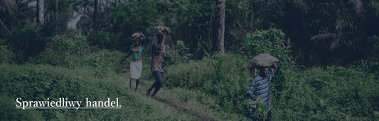 Organiczny Arganowy olejek pielęgnacyjny do skóry i włosów, Zero Waste, 100 ml, Eliah Sahil